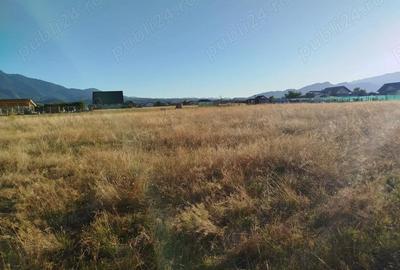 Teren de 1000 mp, în Glăjărie - 3