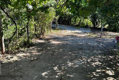 Casă cu 3 camere în Naipu - 4