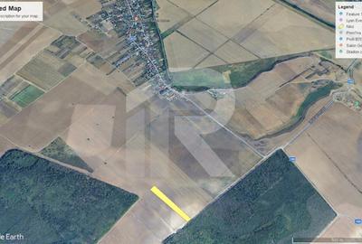 CERNICA - POSTA - TEREN 9000 MP! - 4