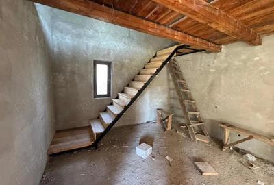 Casă în Ostrovu Corbului - 3