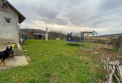 Vanzare casa cu teren generos ?i anexe gospodare?ti 40 ari - 6