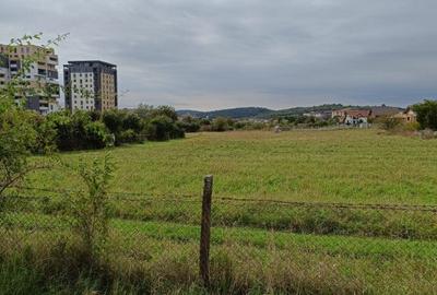 Teren intravilan 8000 mp , DR.D.Vechi - 14