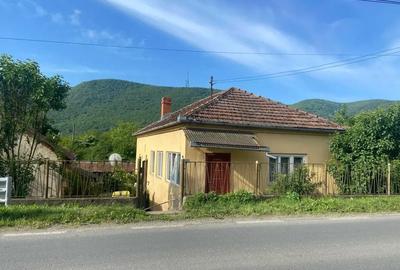 Casă cu 3 camere cu Teren 2000 Mp în Brănișca - 10