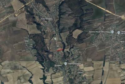 Teren Construcții intravilan de 13383 mp, în Broșteni (Costești) - 2