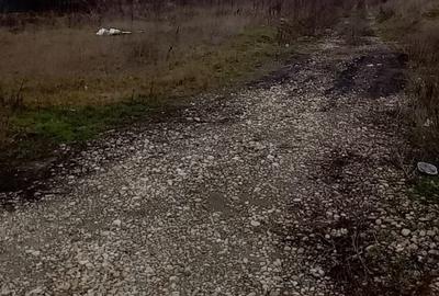 Teren Construcții intravilan de 11075 mp, în Central - 7