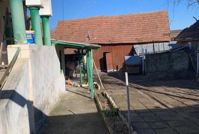 Casă cu Teren 975 Mp în Loamneș - 2