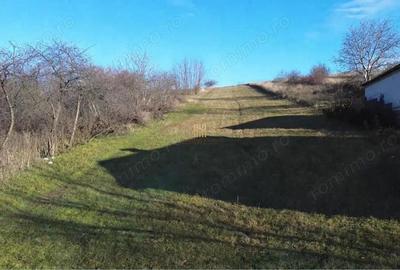 Teren Intravilan 2460 mp Suceava De Vanzare 0727817187 - 2