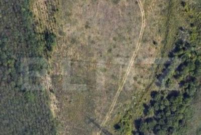 Teren intravilan industrial, 14458mp, centura de Est - 10