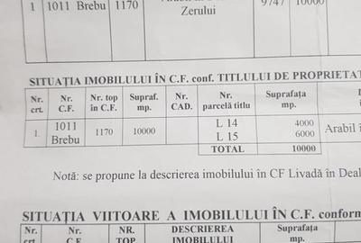 Teren de 10000 mp, în Brebu - 3