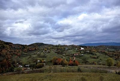 Teren de 2500 mp, în Sohodol - 3