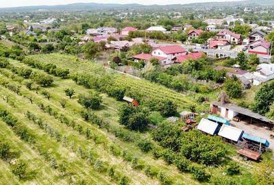 Teren de 540286 mp, în Urechești - 1