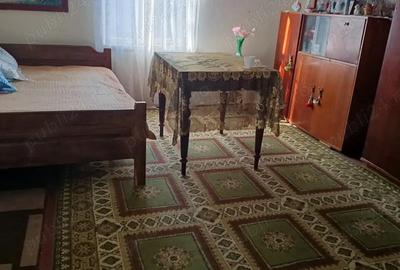 Casă cu 3 camere în Dâmbroca - 1