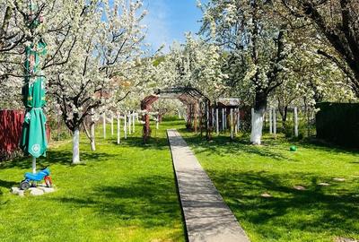 Casă cu Teren 1230 Mp în Central - 6