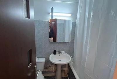 Apartament cu 1 camera, decomandat, zona Nicolina - 4