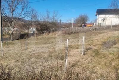 Casă cu 3 camere cu Teren 2000 Mp în Iordăcheanu - 2