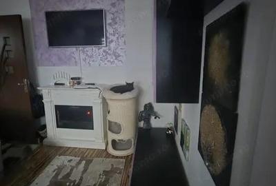 Apartament cu 2 camere semidecomandat în Valea Rosie - 6