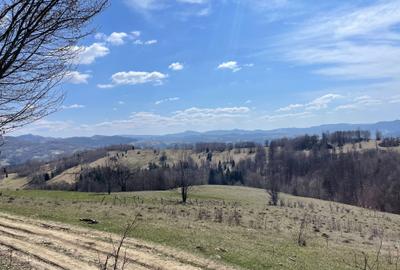 Spațiu comercial, în Central - 5