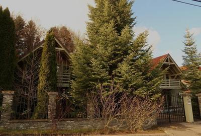 Penthouse cu 14 camere decomandat, mobilat în Orizont - 1