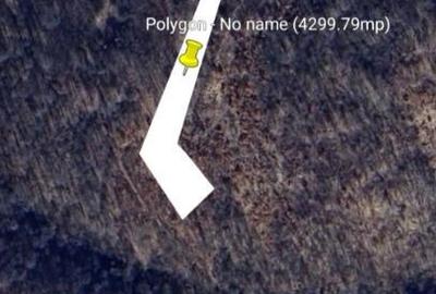 Teren 4300mp in Boc?a - 2