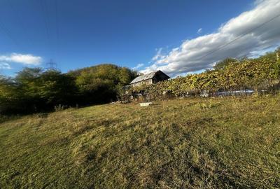 Spațiu comercial, în Doicești - 6