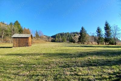 Teren de 8000 mp, în Vama - 3