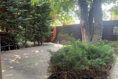 ANDRONACHE | Vila 4 Camere | Garaj | Curte Verde | Ciubar & BBQ - 4