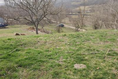 Teren de 2800 mp, în Racovițeni - 5