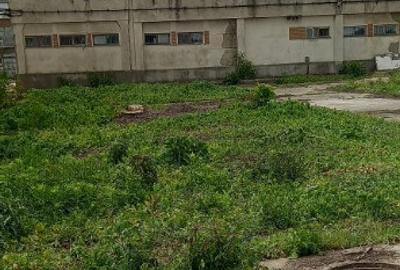 Activ de vanzare la 10 Km de Municipiul Braila ,3 Km de Dunare - 12