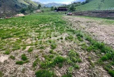 Teren de 1059 mp, în Râu Sadului - 4
