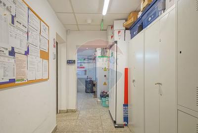 Spațiu comercial, de 248 mp, în Scriitorilor - 4