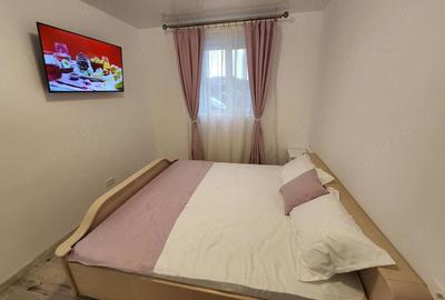 Garsonieră decomandată în Lotrului - 5