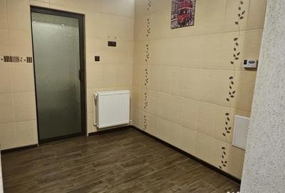 Apartament cu 2 camere decomandat în Paltiniș - 3