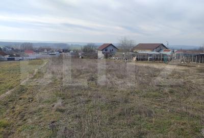 Teren Construcții intravilan de 1469 mp, în Malu Mare - 1