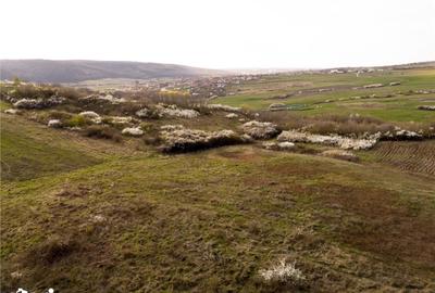 Teren de 1800 mp, în Sânmartin - 5