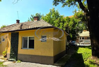 Apartament boem la casa,  curte privata si potential de extindere - 13