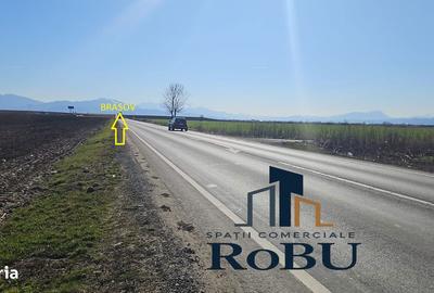 Teren de 9611 mp, în Feldioara