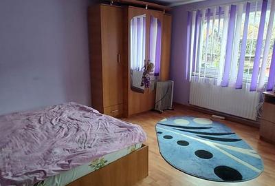 Casă cu 2 camere cu Teren 4368 Mp în Certeju de Sus - 3