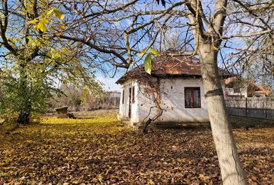 Teren de 3068 mp, în Priseaca - 6