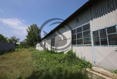 Hala de vanzare | 1.100mp I Boldesti-Scaieni - Randament anual 10% - 5