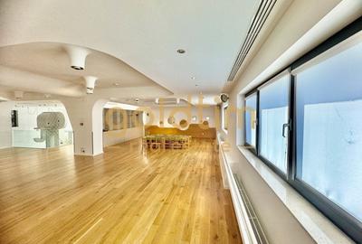 INVESTITIE/PRELUARE CHIRIAS/PARTER PLUS ETAJ INVESTITIE/PRELUARE CHIRIAS/PARTER PLUS ETAJ - 43