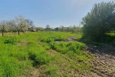 Casă cu 5 camere în Zădăreni - 10