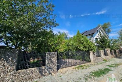 Vila superba, cu piscina, 970mp teren, D+P+E+M, gradina amenajata+pomi fructifer - 5