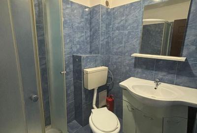 Apartament cu 2 camere în Giurgiului - 11