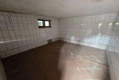 Imobil cu potential, constructie solida cu 2 apartamente,+demisol si garaj, Bras - 22