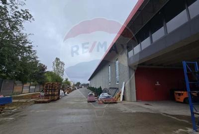 DE VANZARE Hala productie/depozitare - 3