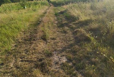 Teren de 2000 mp, în Brănișca - 5