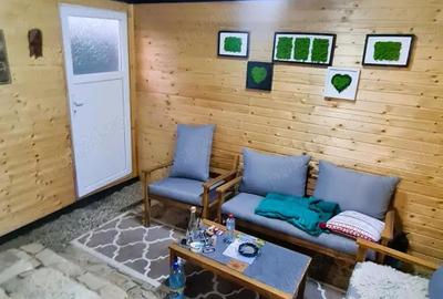 Casă cu 3 camere cu Teren 385 Mp în Valu lui Traian - 14