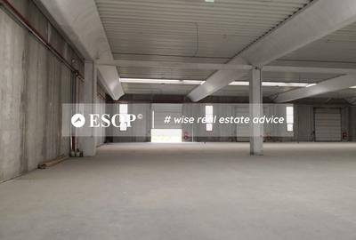 Hale industriale, parc modern, Rudeni, Chitila, Ilfov- ID 15462 Hale industriale, parc modern, Rudeni, Chitila, Ilfov- ID 15462 - 9