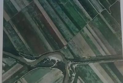 Teren de 13200 mp, în Gruiu - 2