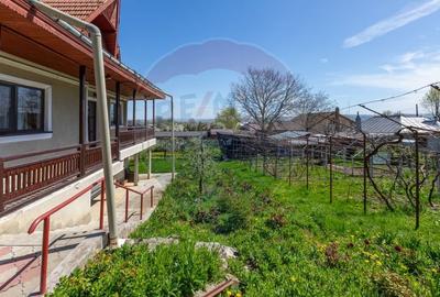 Casă cu 3 camere cu Teren 1251 Mp în Săucești - 27
